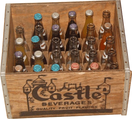 Castle case
